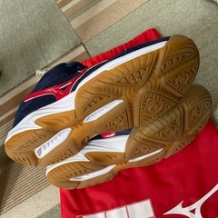 MIZUNOスニーカーの画像