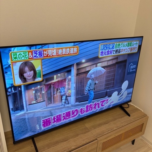 ハイセンス50V型 50E60N