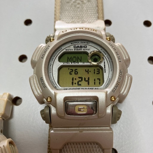 CASIO G-SHOCKアラスカ犬ぞり限定モデルDW-8800