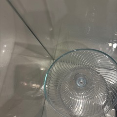 GEXガラス水槽　小動物　ハムスターの画像
