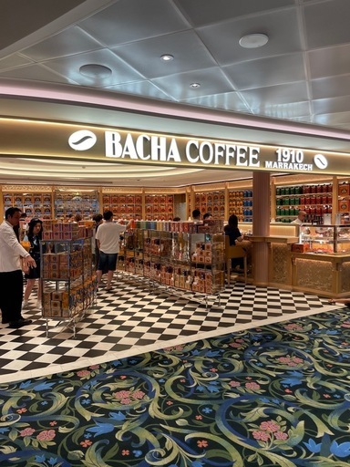 ★BACHA★ディズニークルーズアドベンチャー号 限定品 アラジン★新品未使用★ ディズニークルーズ アドベンチャー 限定 BACHA coffee アラジン