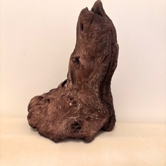 ★ ミナミヌマエビやグッピーなど 水槽に使っていた 流木 8★の画像