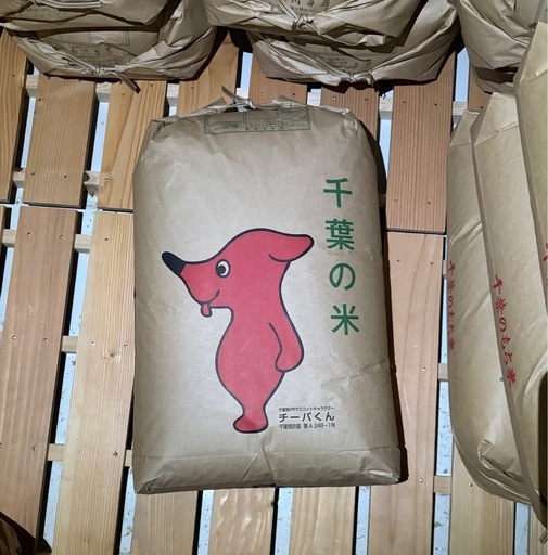 千葉県産　　R7年　コシヒカリ玄米30キロ
