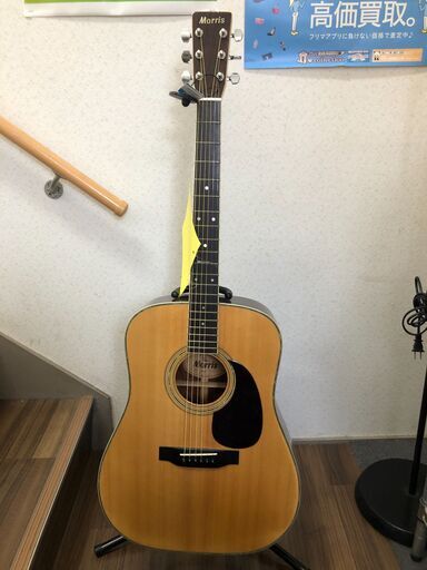 【ジャングルジャングルサカイ石津店】MORRIS モーリス アコースティックギター W-30 アコギ 堺市 西区 東区 北区 南区 堺区 石津