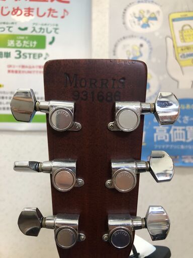 ジャングルジャングル石津店】Morris モーリス アコースティックギター