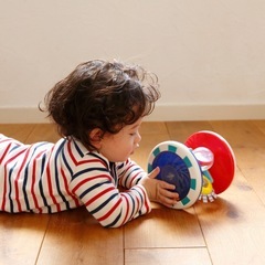 Sassy コロコロてんとうむし赤ちゃんおもちゃ玩具の画像