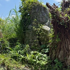 庭の石や木の画像