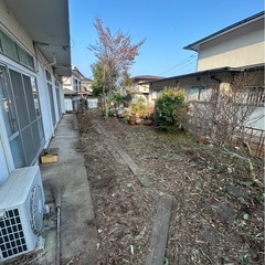 伐採、草刈り、格安で受けますの画像