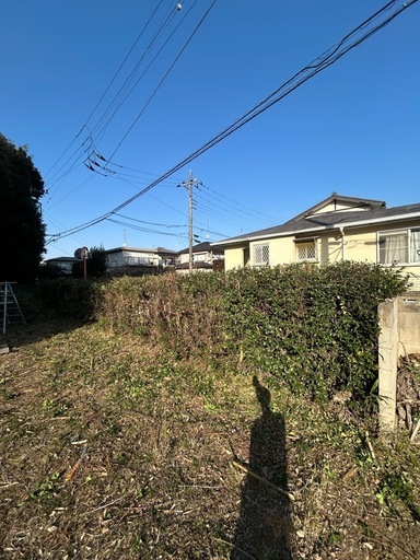 伐採、草刈り、格安で受けます