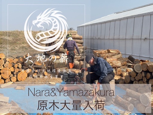 【未乾燥】上質サクラ薪35〜40cmカット済み数量限定『大地の薪』涌谷町