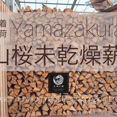 【未乾燥】上質サクラ薪35〜40cmカット済み数量限定『大地の薪』涌谷町の画像