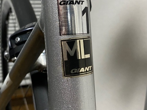 Giant  Defy1