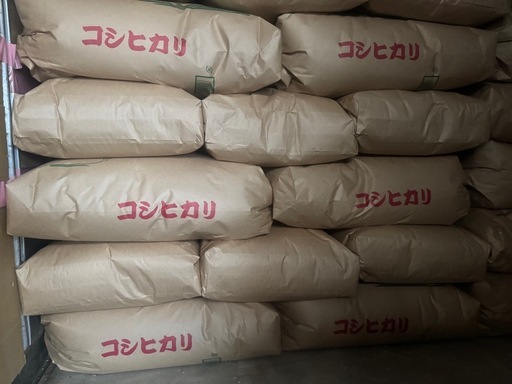 【取引中】23令和7年度産　コシヒカリ　玄米　30kg