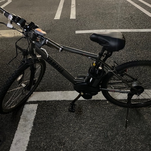 YAMAHA PAS BRACE 12.3Ah