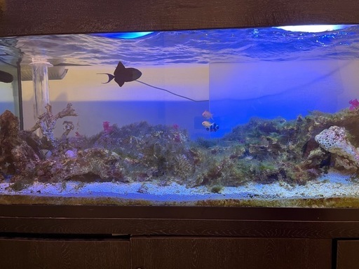 180×60×60 ガラス水槽　全部込み