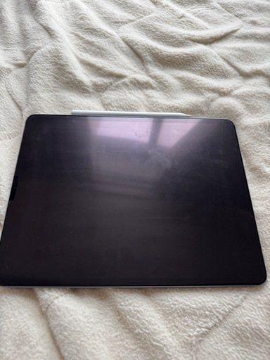 iPad Pro 12.9インチ　第3世代　美品　Apple pencil付属