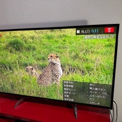 Panasonic VIERA DX750 TH-49DX750　テレビ【ジャンク品】の画像