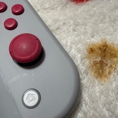 Nintendo Switch right ポケモンデザインの画像