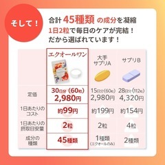 2袋セット エクオールワン大豆イソフラボン×ラクトビオン酸 サプリメント 健康の画像