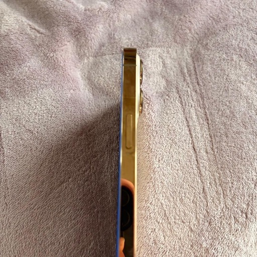 iPhone 13 Pro Max 512GB SIMフリー (?89%)