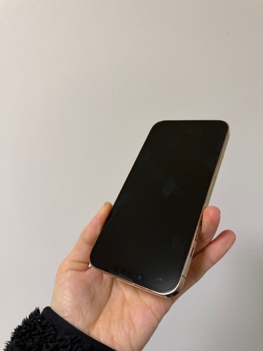 iPhone13pro