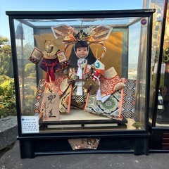 五月人形・はまゆみの画像