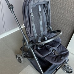 サイベックス　メリオカーボンブラック 2023年の画像