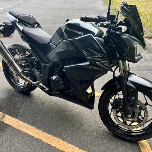 自走ok 愛知 実働 Kawasaki Z250
