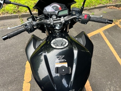 自走ok 愛知 実働 Kawasaki Z250