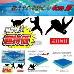 中古　空手などのマット67枚の画像