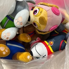 パウパトロールぬいぐるみ

