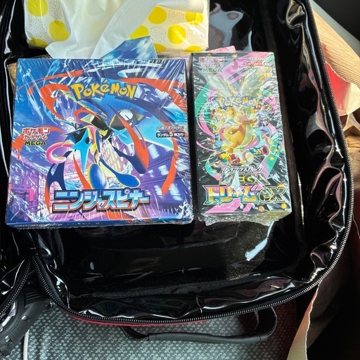 ポケカ　ポケモンカード