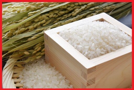 【 受渡し予定者決定しました 】おいしいお米　玄米30kg  ヒノヒカリ  令和7年産　取引場所　 マルミヤストア松山店さん近く