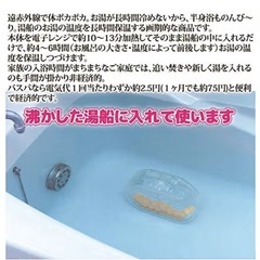 バスパ　湯たんぽの画像
