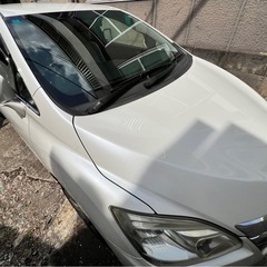 トヨタマークXジオの画像