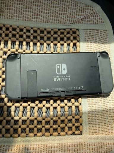 Switch リーフグリーン付き