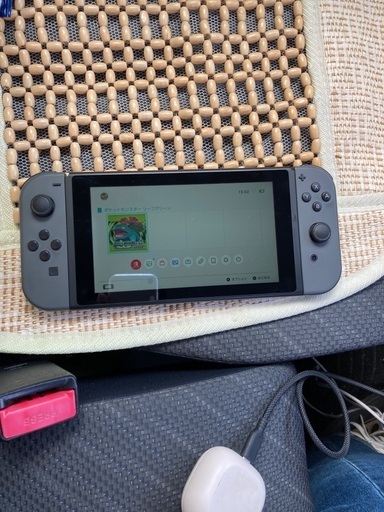 Switch リーフグリーン付き