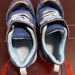 17.5cm 運動靴の画像