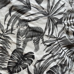 H&M 虎　Tシャツ４歳から６歳の画像