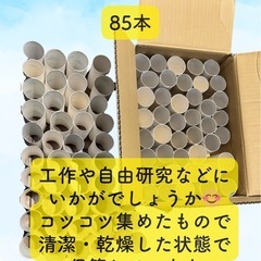 トイレットペーパーの芯（85本）の画像