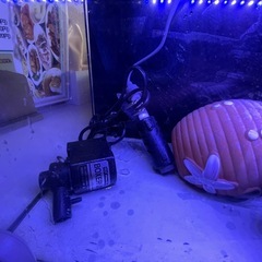 水槽セットの画像