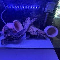 水槽セットの画像