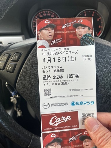 4/18（土）　広島対横浜　パノラマテラスシート10枚綴