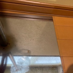 透明トルソー　マネキンの画像