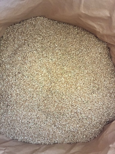 R７年産　キヌムスメ　　30kg