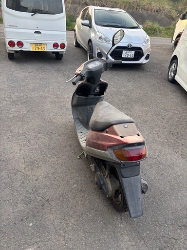 スズキ セピア