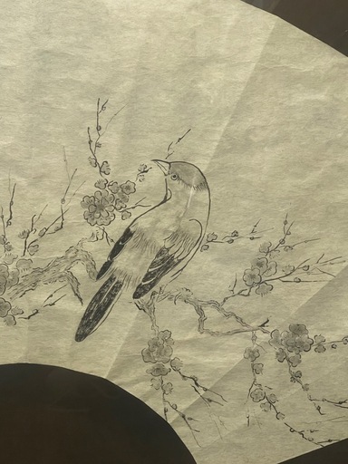 扇面 水墨画 鳥 梅 額装 約78×43cm 和風アート 壁掛け
