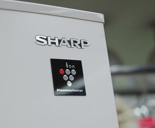 冷蔵庫 310L 2019年製 2ドア SHARP SJ-PD31E-W ホワイト プラズマクラスター搭載 動作確認済み シャープ  300Lクラス 札幌市 清田区 平岡