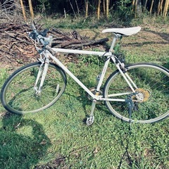 自転車🚲6台有ります！の画像