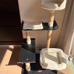 キャットタワー 美品 黒×白オシャレです！の画像